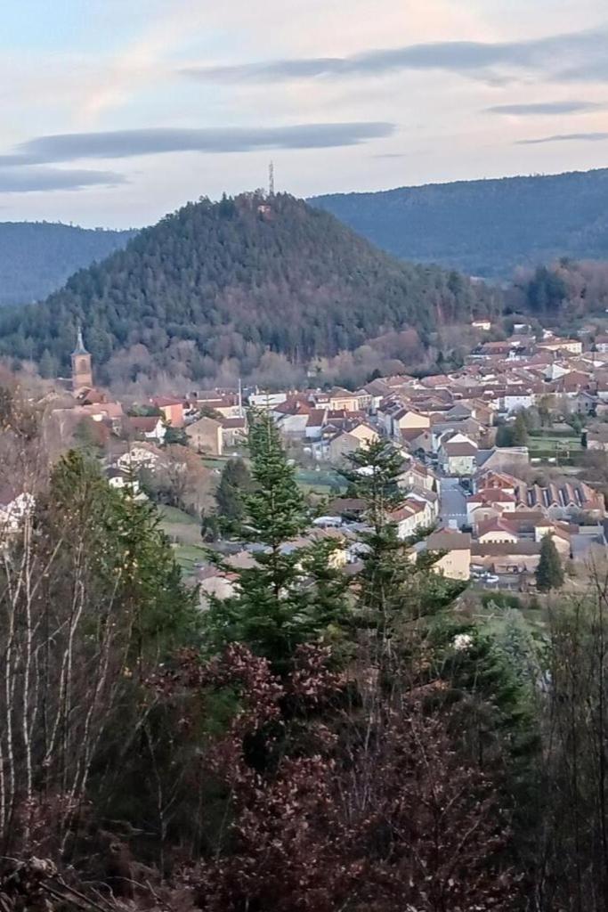 Charmant Gite, Au Calme, Avec Vue Imprenable Sur La Nature Environnante Deycimont Eksteriør billede