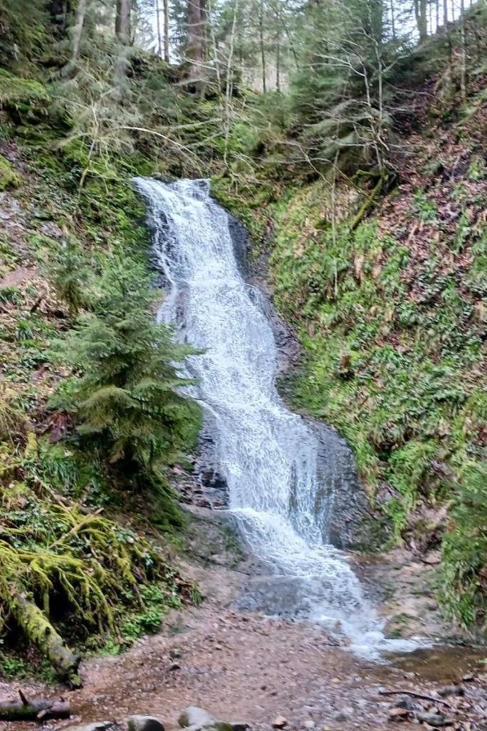 Charmant Gite, Au Calme, Avec Vue Imprenable Sur La Nature Environnante Deycimont Eksteriør billede
