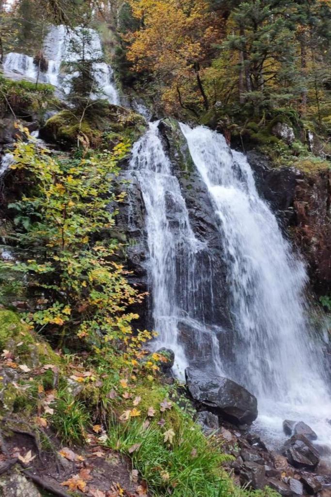 Charmant Gite, Au Calme, Avec Vue Imprenable Sur La Nature Environnante Deycimont Eksteriør billede
