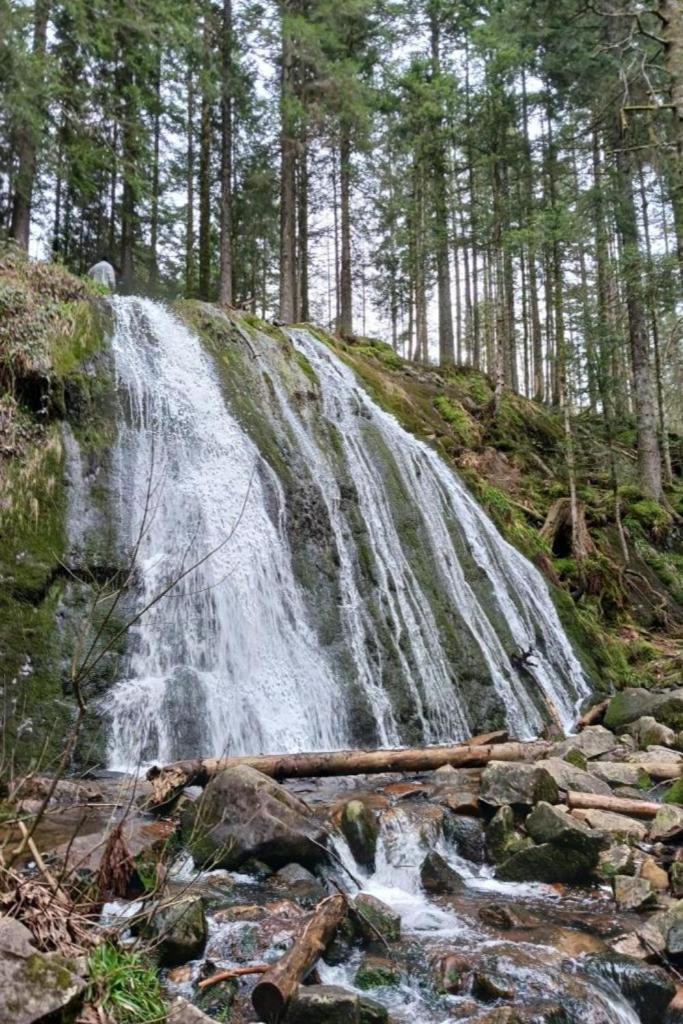 Charmant Gite, Au Calme, Avec Vue Imprenable Sur La Nature Environnante Deycimont Eksteriør billede