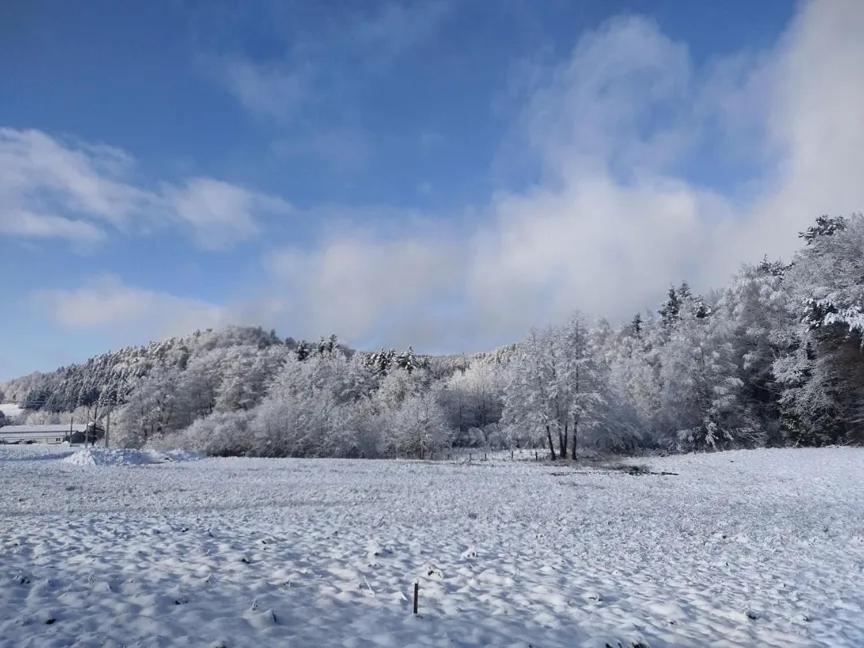 Charmant Gite, Au Calme, Avec Vue Imprenable Sur La Nature Environnante Deycimont Eksteriør billede