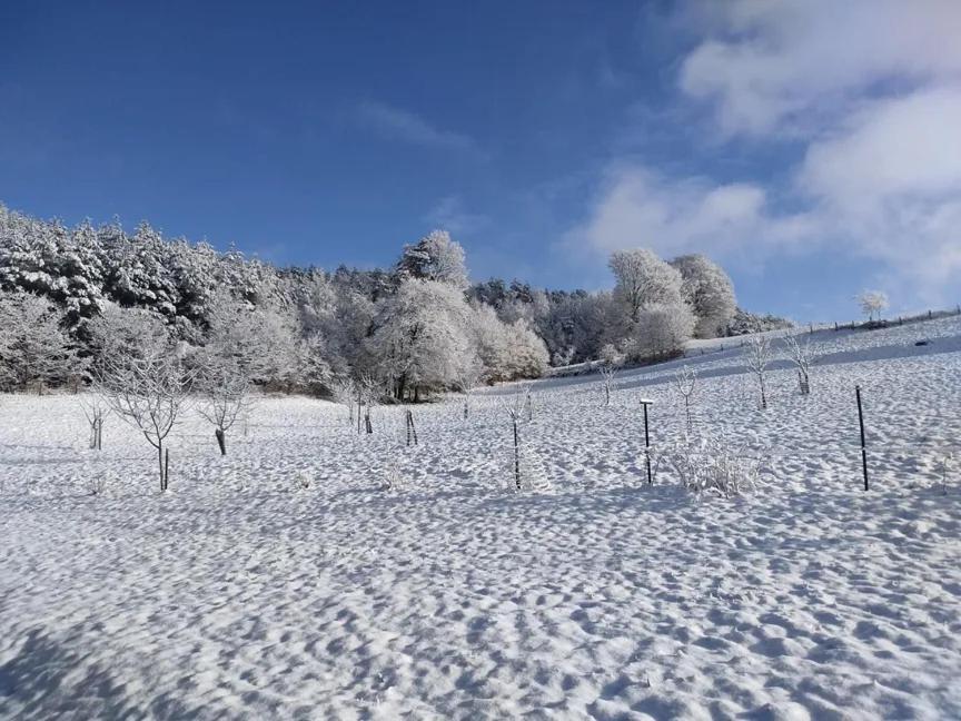 Charmant Gite, Au Calme, Avec Vue Imprenable Sur La Nature Environnante Deycimont Eksteriør billede